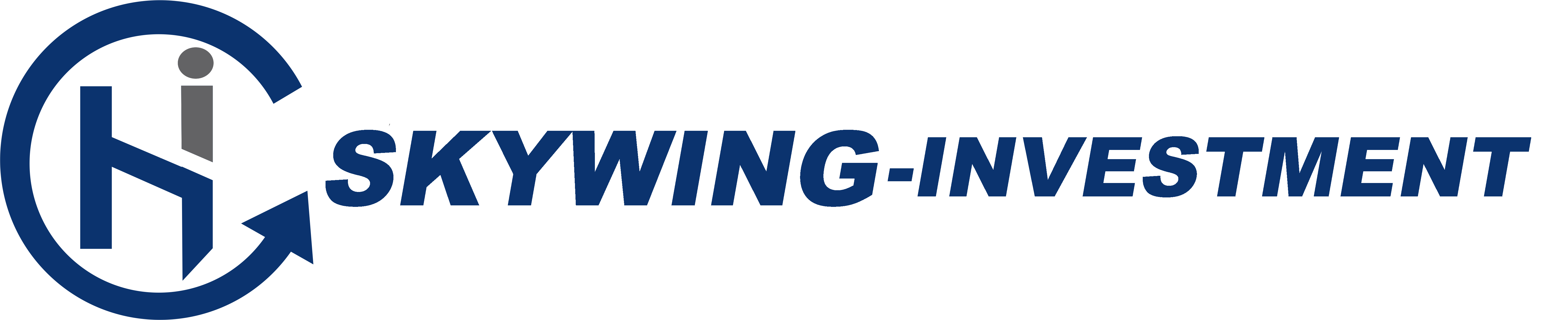 Skywing investment
